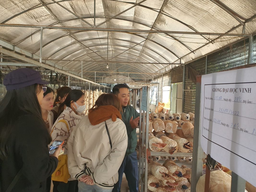 Đoàn sinh viên tham quan mô hình nuôi trồng nấm linh chi 